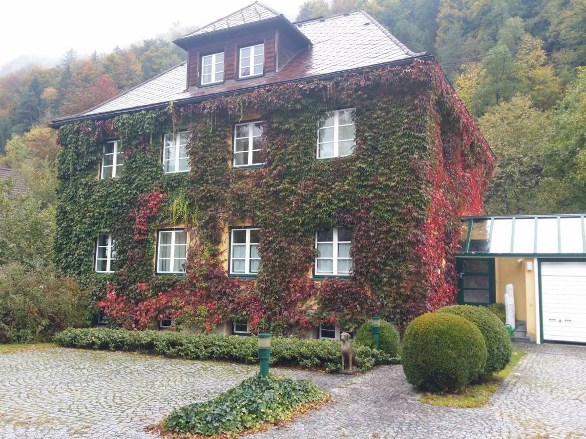 Gaestehaus Grogger Weyer Markt Exterior photo
